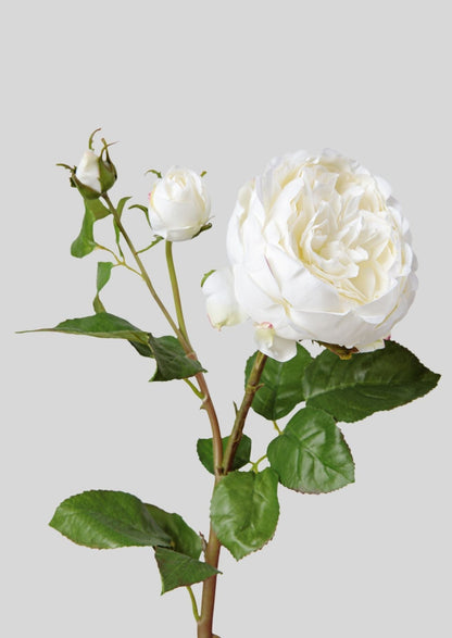 Real Touch Fake Flower English Rose with Bud - 21"